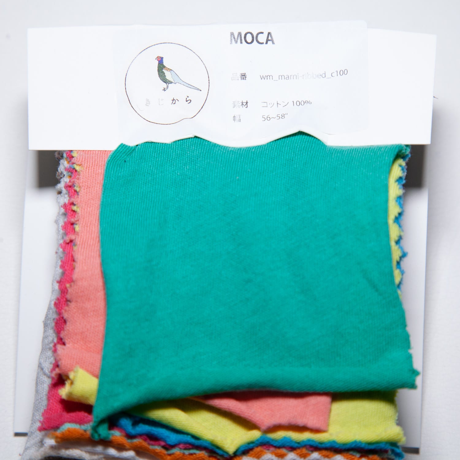 noa_moca_100