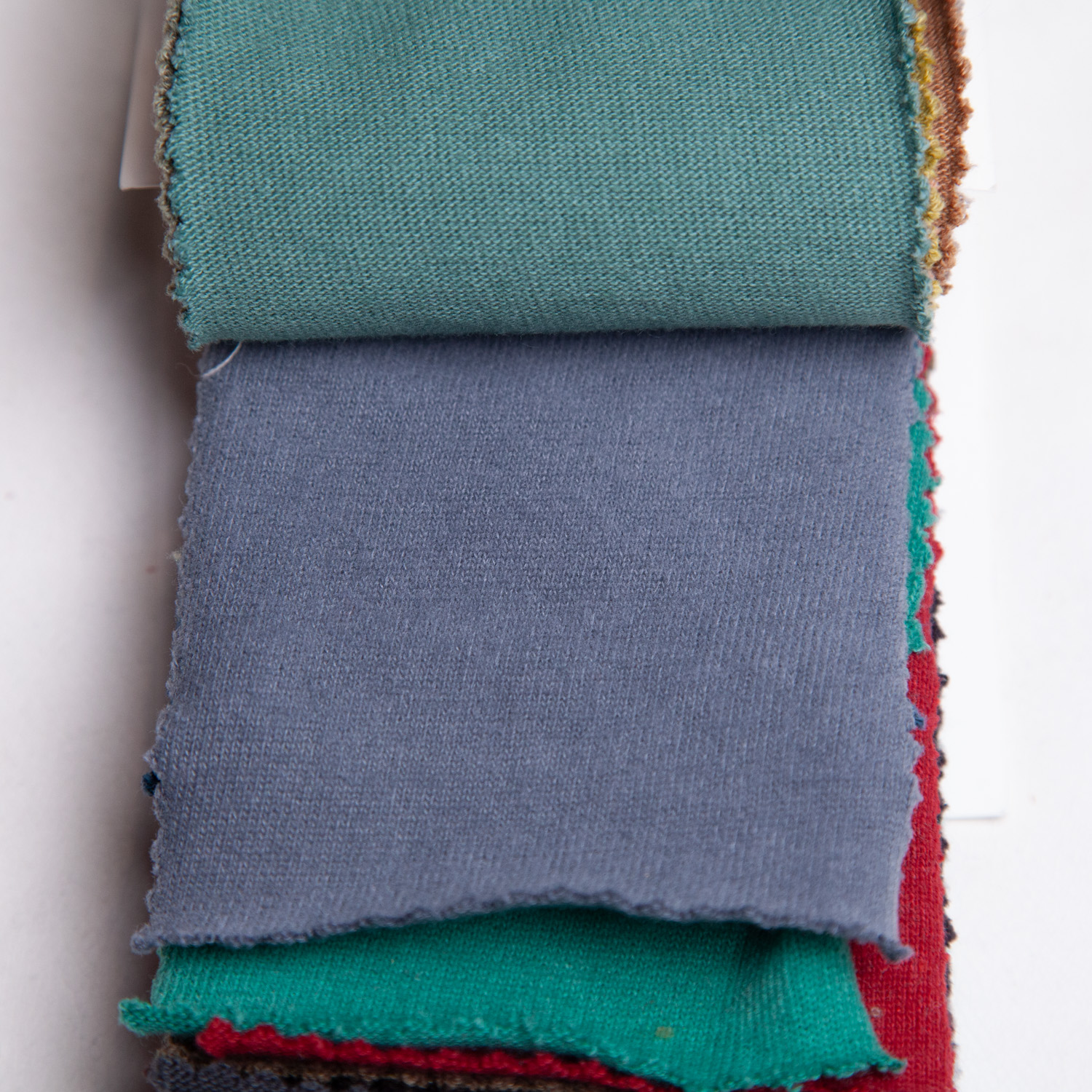 strawberryblue_20s-hapsapichi_c100-14