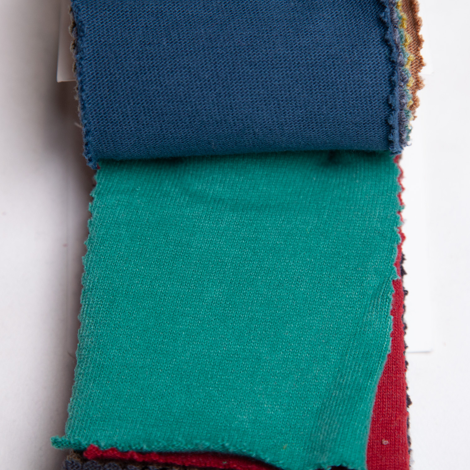 strawberryblue_20s-hapsapichi_c100-16