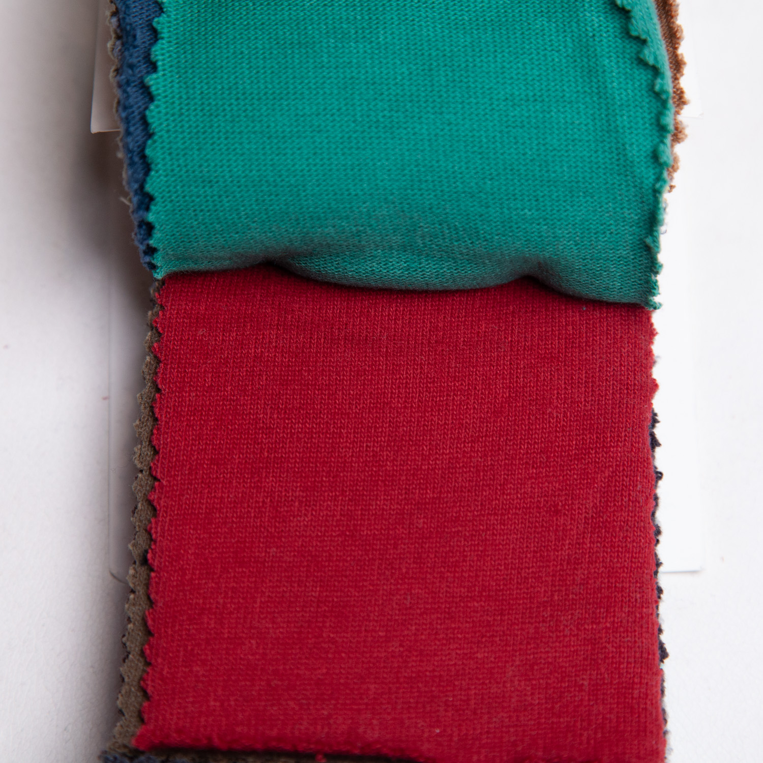 strawberryblue_20s-hapsapichi_c100-17