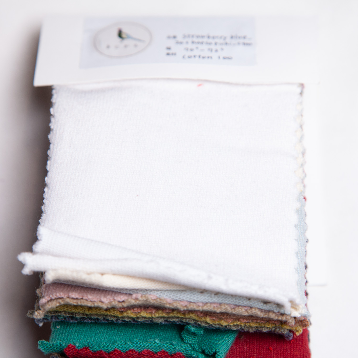 strawberryblue_20s-hapsapichi_c100-2