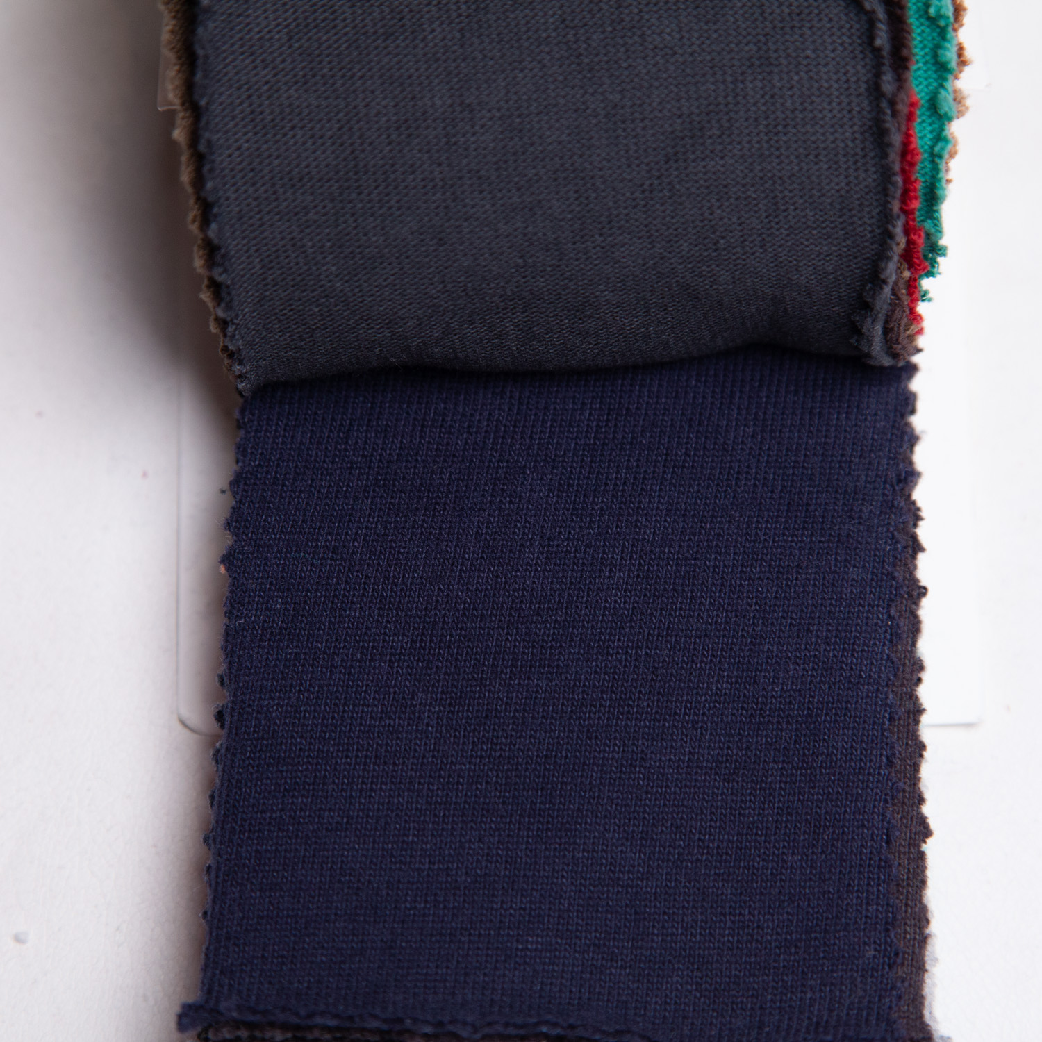 strawberryblue_20s-hapsapichi_c100-21