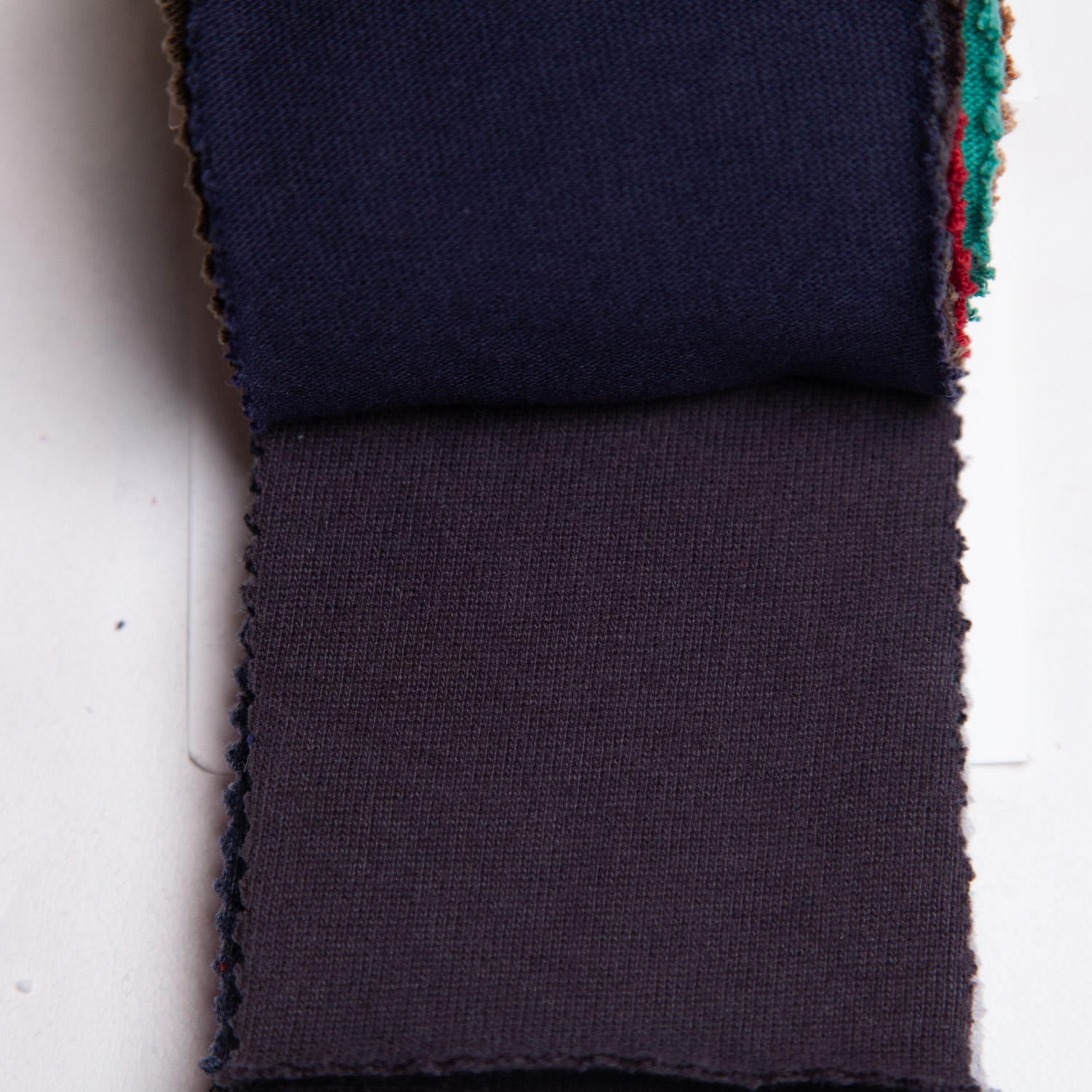 strawberryblue_20s-hapsapichi_c100-22