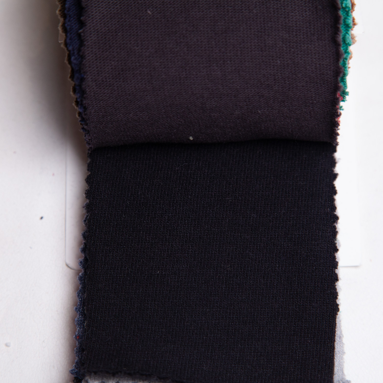 strawberryblue_20s-hapsapichi_c100-23