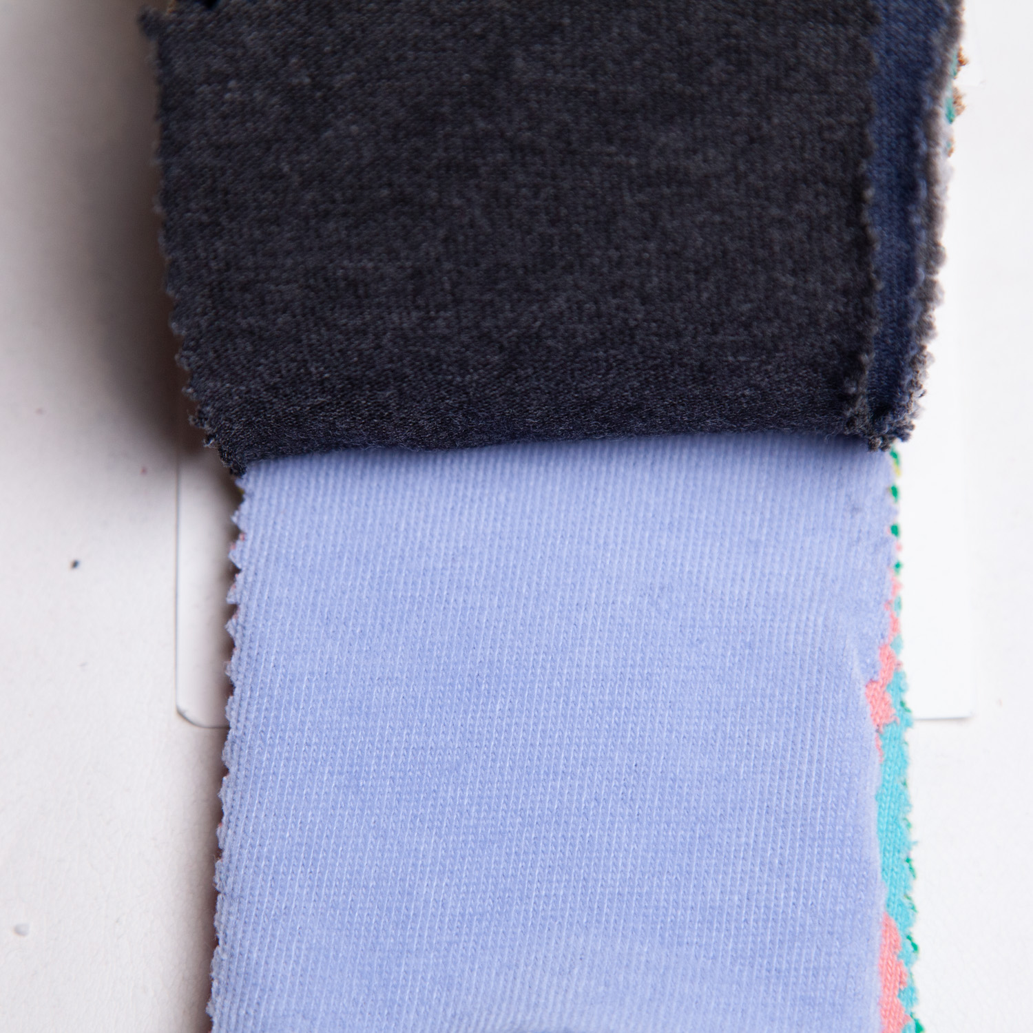 strawberryblue_20s-hapsapichi_c100-28