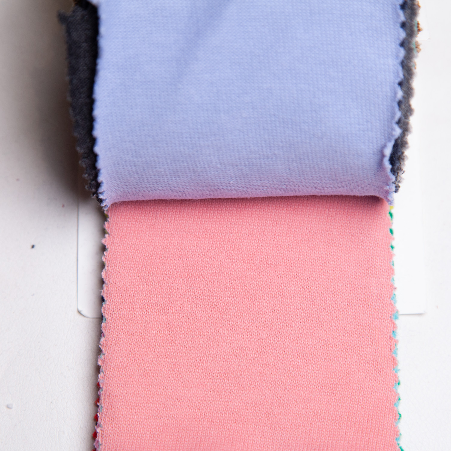 strawberryblue_20s-hapsapichi_c100-29
