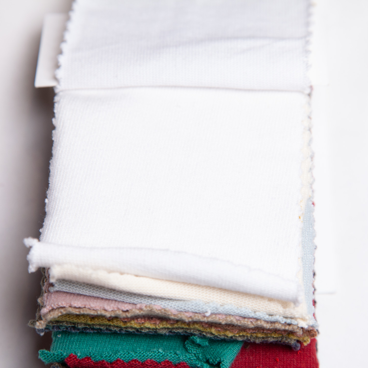 strawberryblue_20s-hapsapichi_c100-3