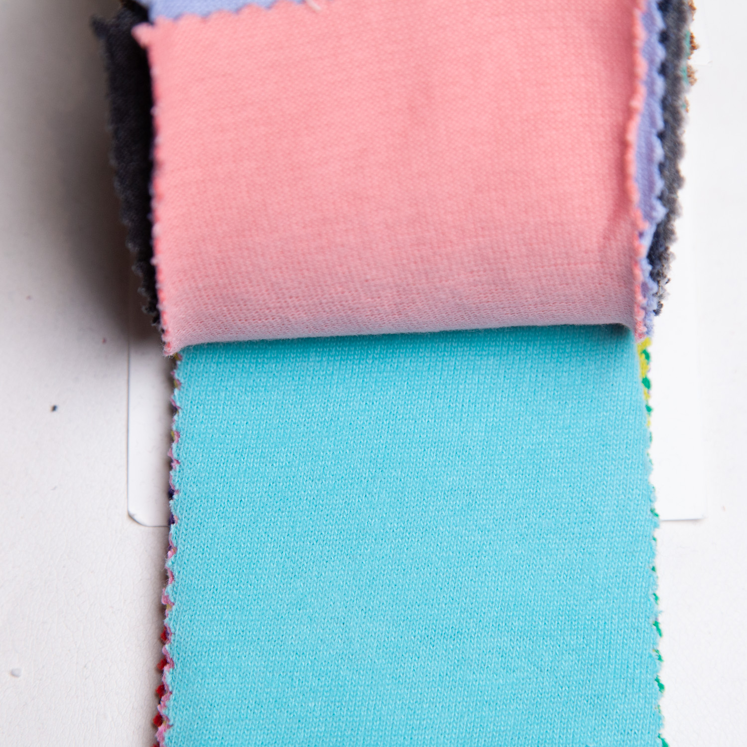 strawberryblue_20s-hapsapichi_c100-30