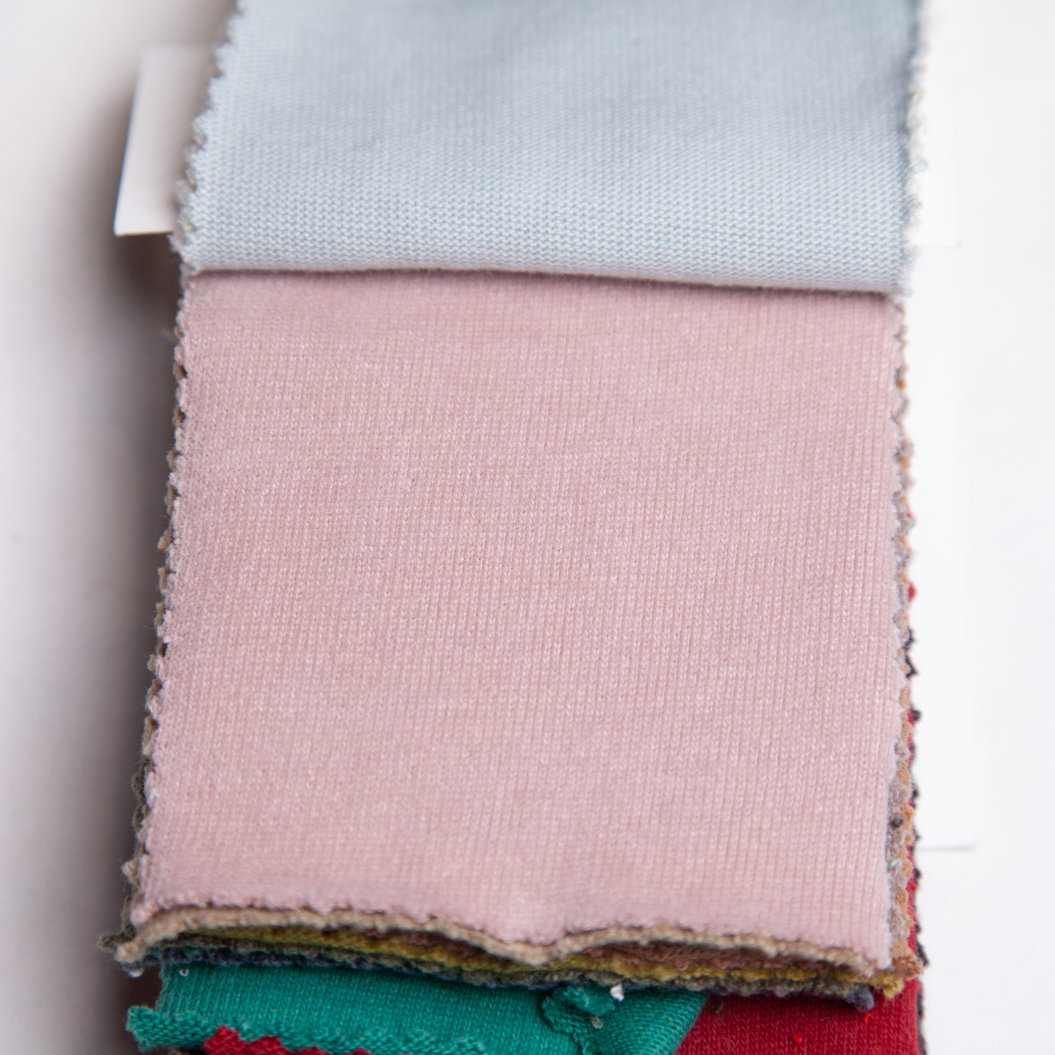 strawberryblue_20s-hapsapichi_c100-6